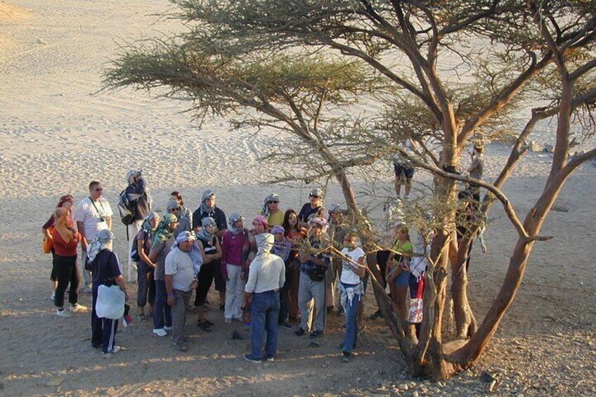 3 Hours Afternoon Quad Bikes Safari - Sharm El Sheikh