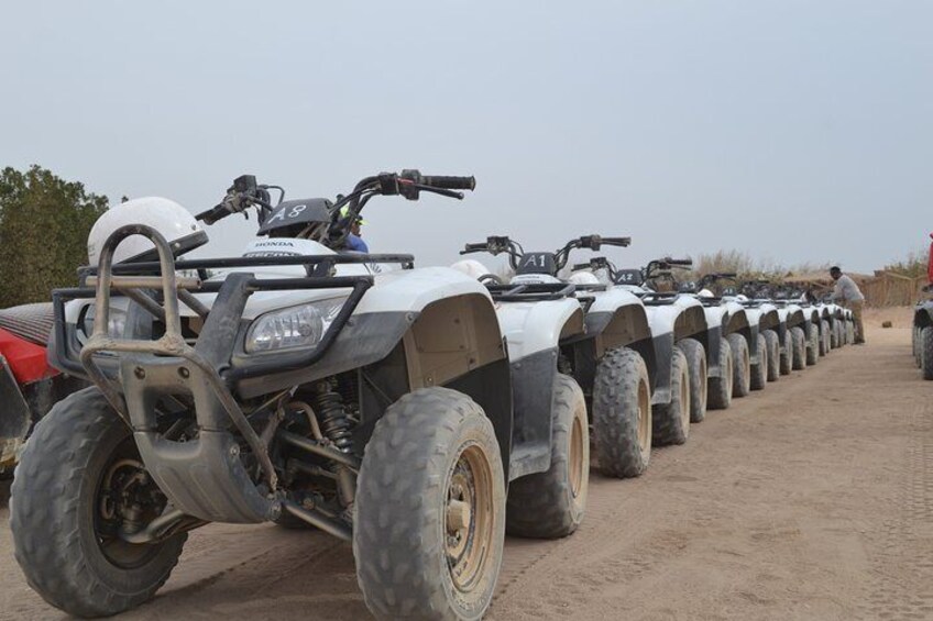 3 Hours Afternoon Quad Bikes Safari - Sharm El Sheikh