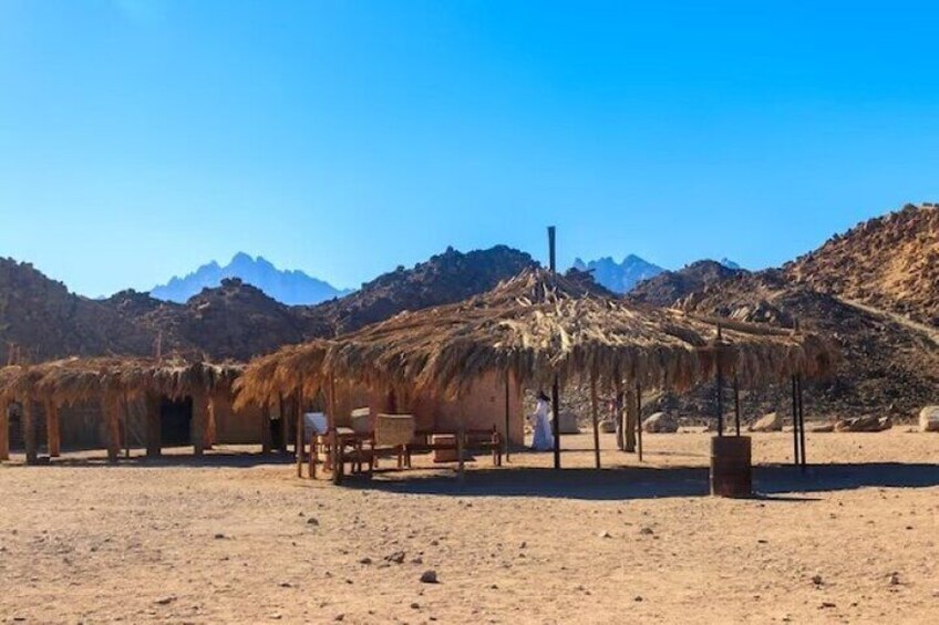 3 Hours Safari Sunrise Or Sunset by ATV Quad Bike Desert Fun - Sharm El Sheikh