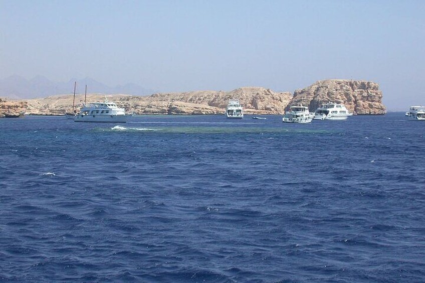 Ras Mohamed and White Island Snorkeling Trip and One Stop Diving-Sharm El Shiekh