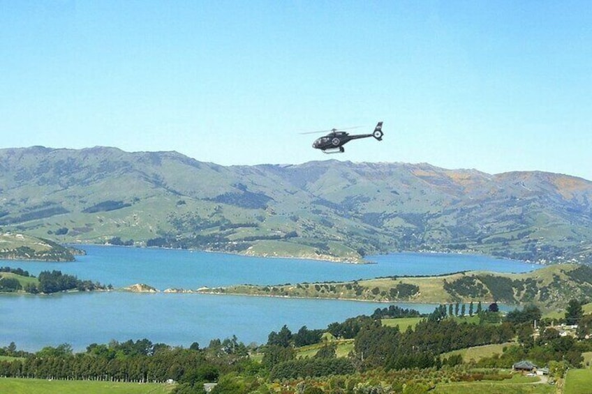 Akaroa & Banks Peninsula Scenic