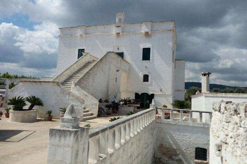 Bike tour among millenary olive trees, farms, rupestrian churches and underground oil mills