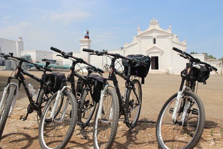 The Millennials bike tour