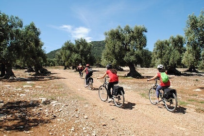 The Millennials bike tour