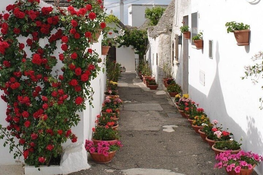 Alberobello & Trulli