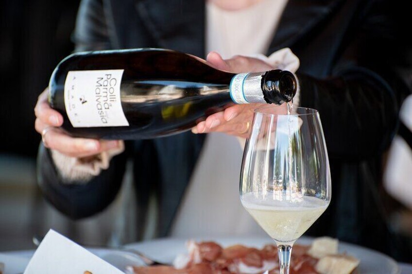 Parma Hills Wine Tasting | Artemilia Guided Tours | Slow Parma Food Experience