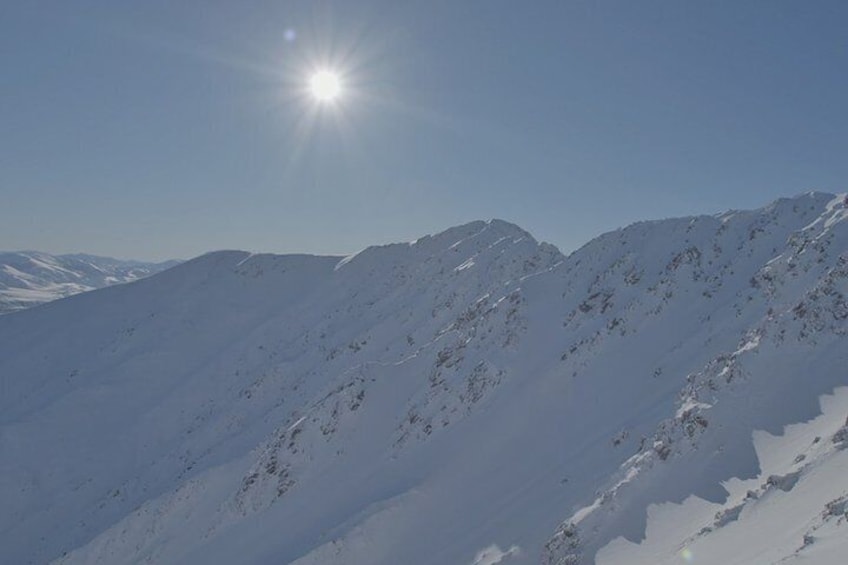 Southern Alps Taster