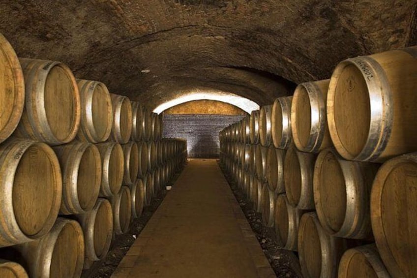 Show item 4 of 5. Tour of the organic wineries in the Piacenza hills