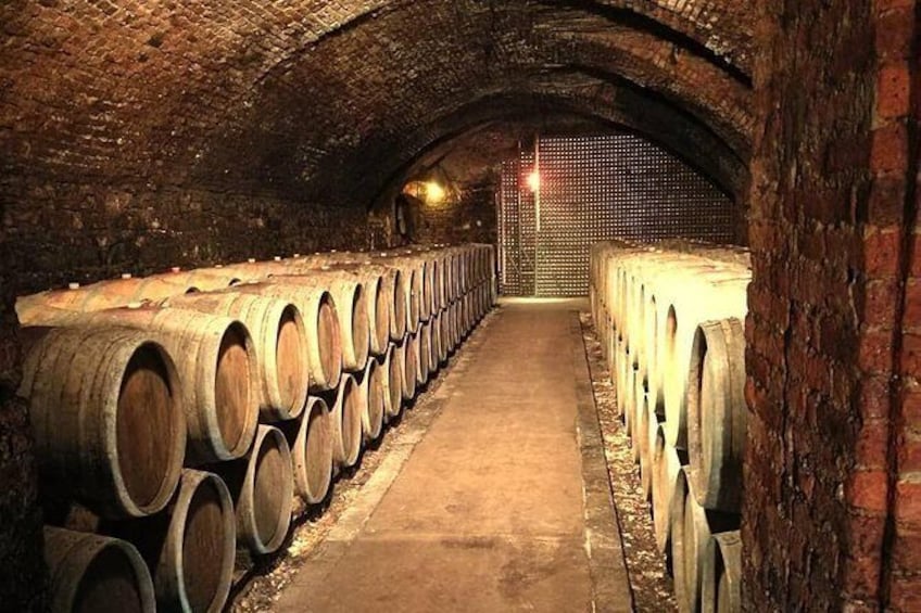 Show item 1 of 5. Tour of the organic wineries in the Piacenza hills