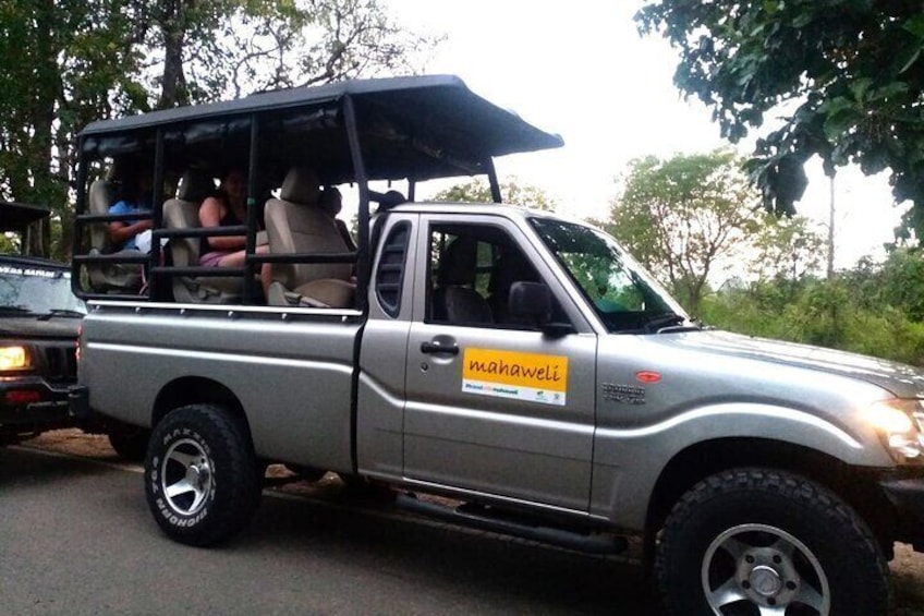 This is how a typical vehicle used for safari looked like. Seats are arranged in a way that you get the best view (360 view) also the high bed seat ensure the safety and uninterrupted sight. 