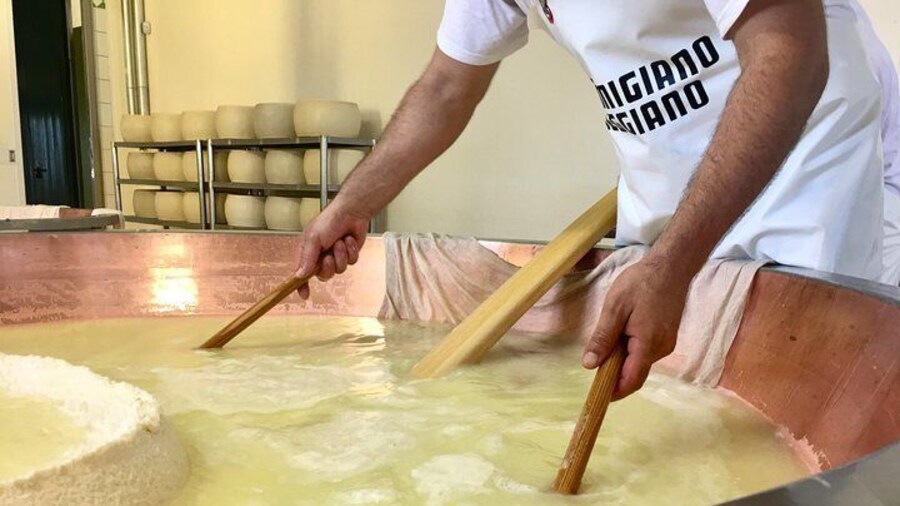 Parmigiano Reggiano Cheese making | Artemilia Guided Tours | Parma Hillside Private Food Tour and Tasting
