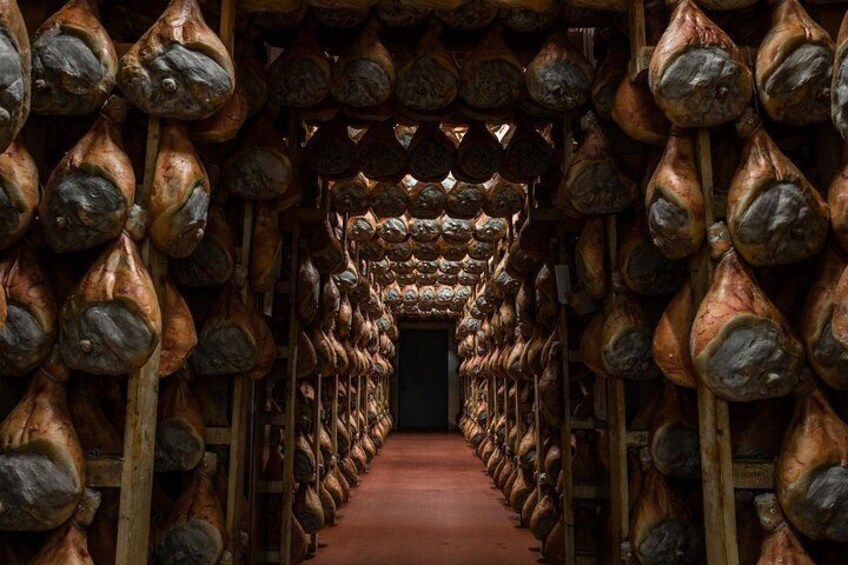 Prosciutto of Parma Cellar | Artemilia Guided Tours | Parma Hillside Private Food Tour and Tasting