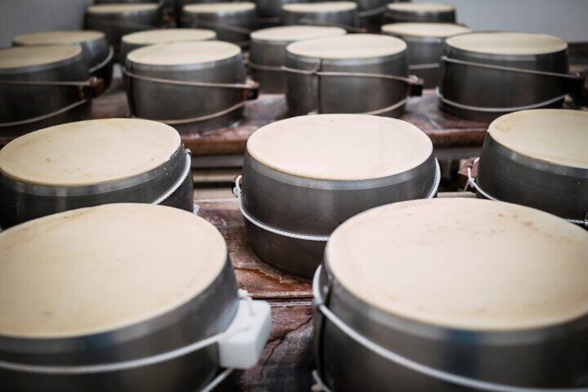 Parmigiano Reggiano & Balsamic Vinegar Private Tour and Tasting | Shaping phase