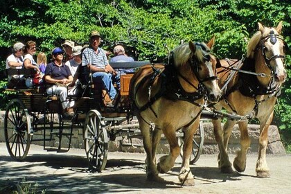 Gourmet tour with horse-drawn carriage & Optional Visit a Wildlife Observat...