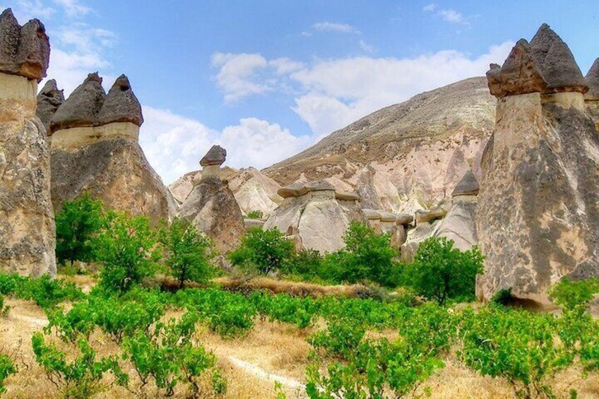 Cappadocia Guided Tours