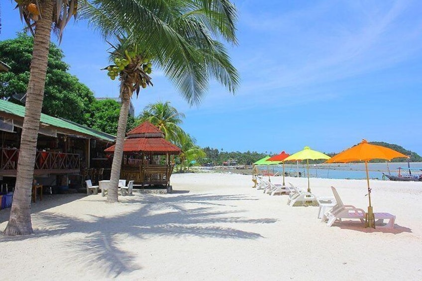 Pink Dolphin and Snorkeling Full Day Experience