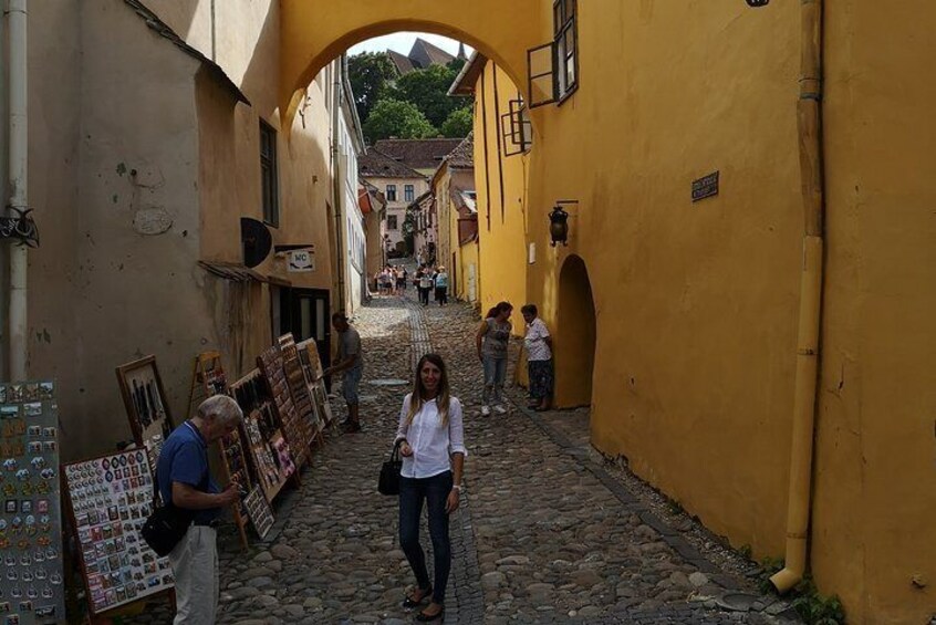 Medieval Sighisoara & Rural Viscri - PRIVATE tour- LUNCH INCLUDED