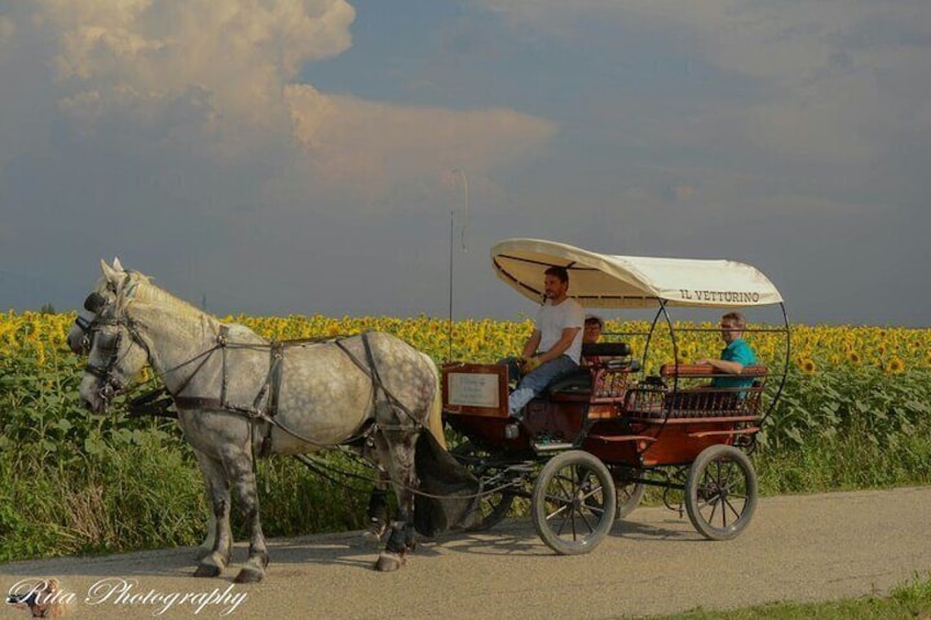 Tour the wine route