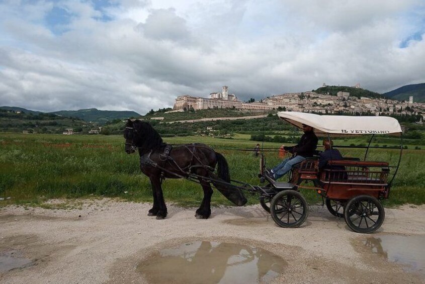 In Carrozza in the places where St. Francis preached to the birds