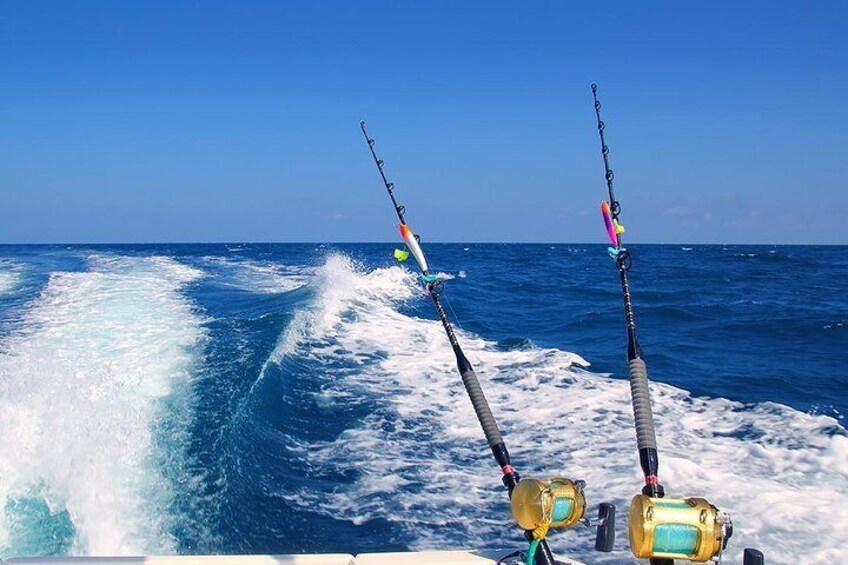 Gulf of Thailand Fishing Challenge Tour from Ko Samui