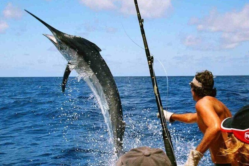 Gulf of Thailand Fishing Challenge Tour from Ko Samui