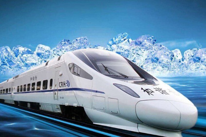 High-Speed Rail Experience Full-Day Private Tour to Countryside From Harbin