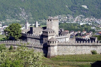 Castles of Bellinzona Switzerland, private guided tour, from Lugano