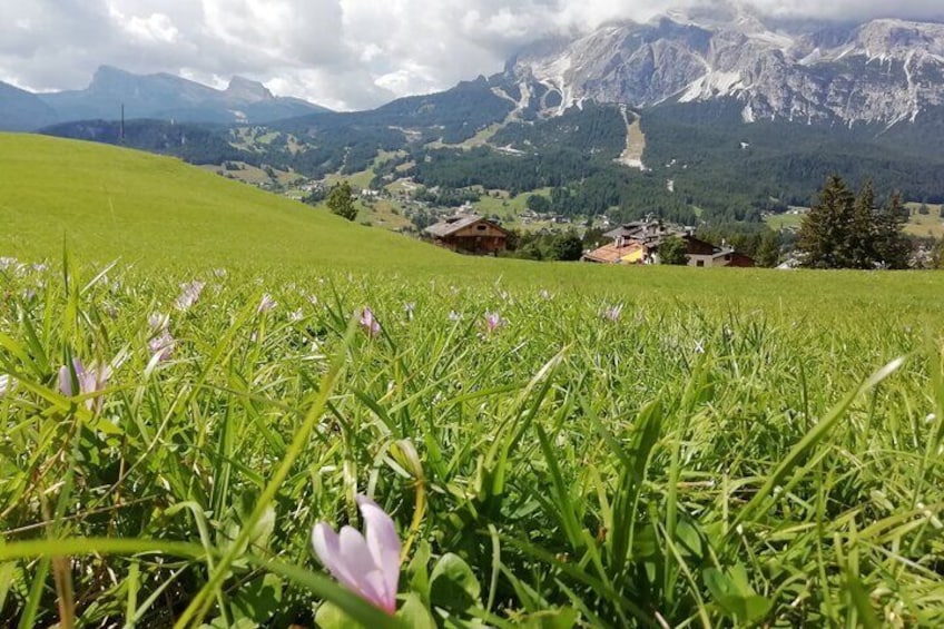A day between the Ampezzo Dolomites and Cortina