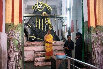 Bangalore to Cochin Natural and Cultural Sites Tour