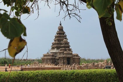 Bangalore to Madurai South India Temple Trail Private Tour