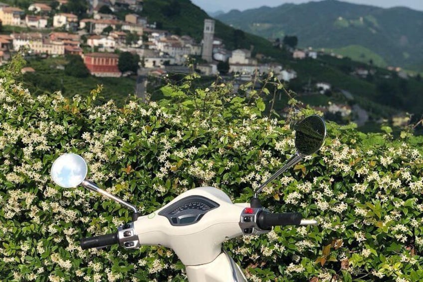 Guided Vespa tour in the Prosecco Land