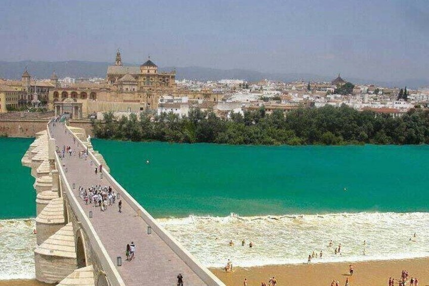 Cordoba private tour from Granada for up to 8 persons including the great Mosque