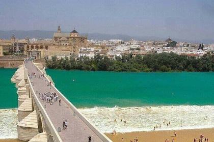 Cordoba private tour from Granada for up to 8 persons including the great M...