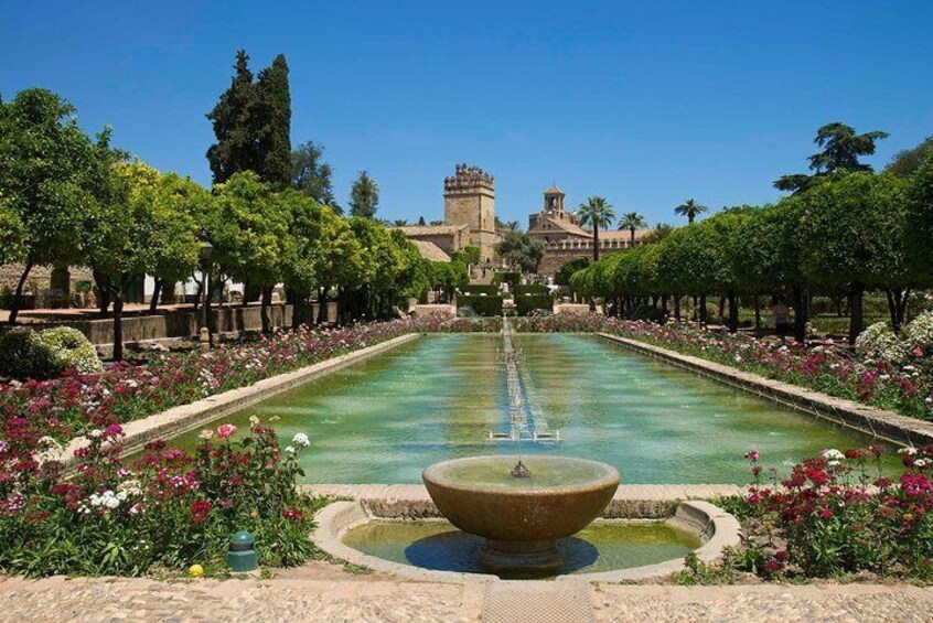 Cordoba private tour from Granada for up to 8 persons including the great Mosque