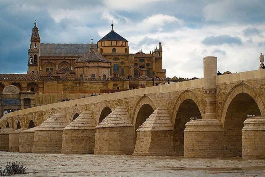 Cordoba private tour from Granada for up to 8 persons including the great Mosque