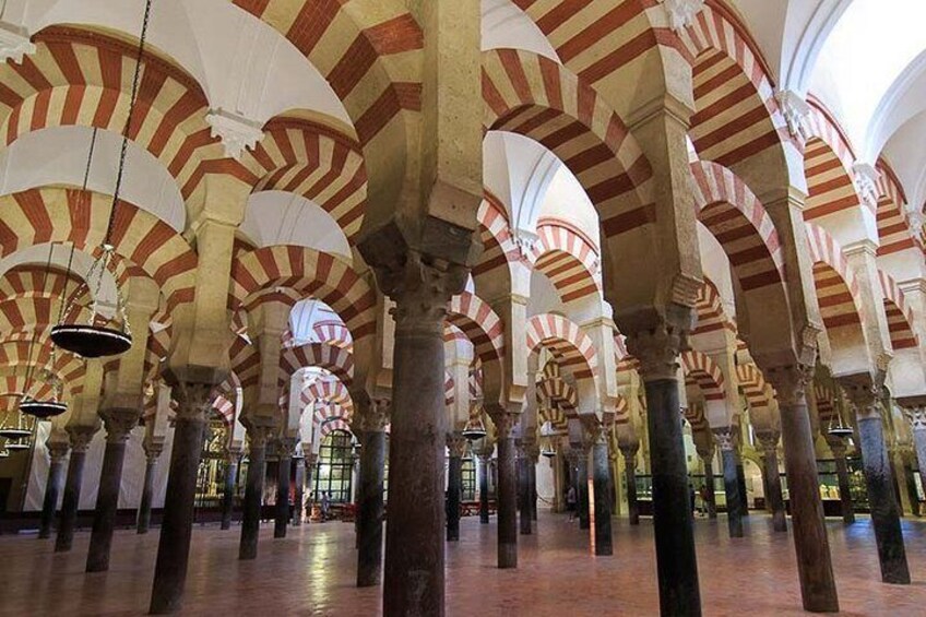 Cordoba private tour from Granada for up to 8 persons including the great Mosque