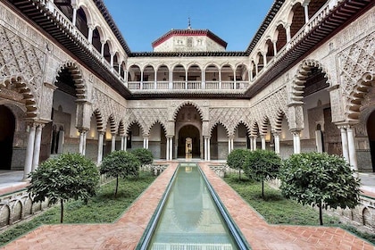 Heldags privat guidet kulturel rundvisning i Sevilla fra Granada