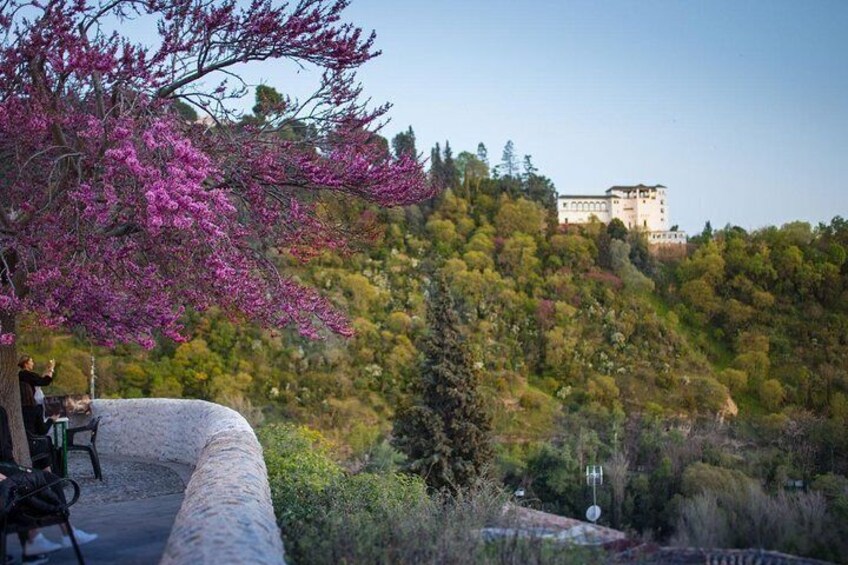 The Generalife stands out in the woods