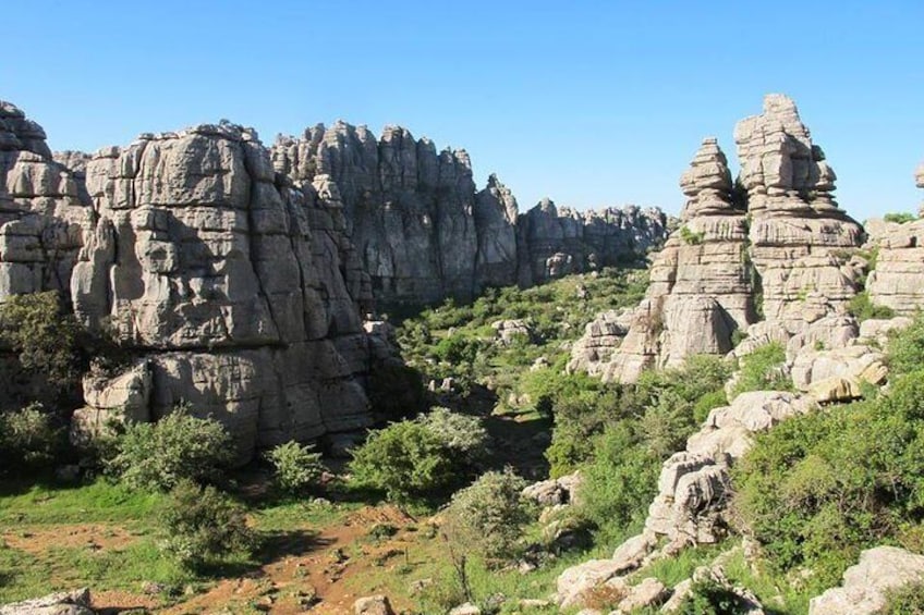 Private Cordoba Tour and Day Trip to Antequera 