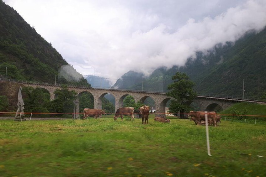 St Moritz and Bernina express. Departure from Milan