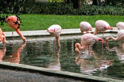 秘密米兰 — — 超越殴打之路的独家漫步