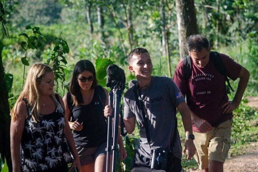 Nice Walk in Jungle Life- Sloth Tour