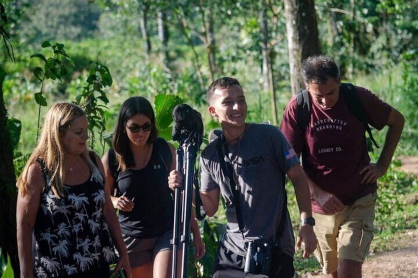 Nice Walk in Jungle Life- Sloth Tour