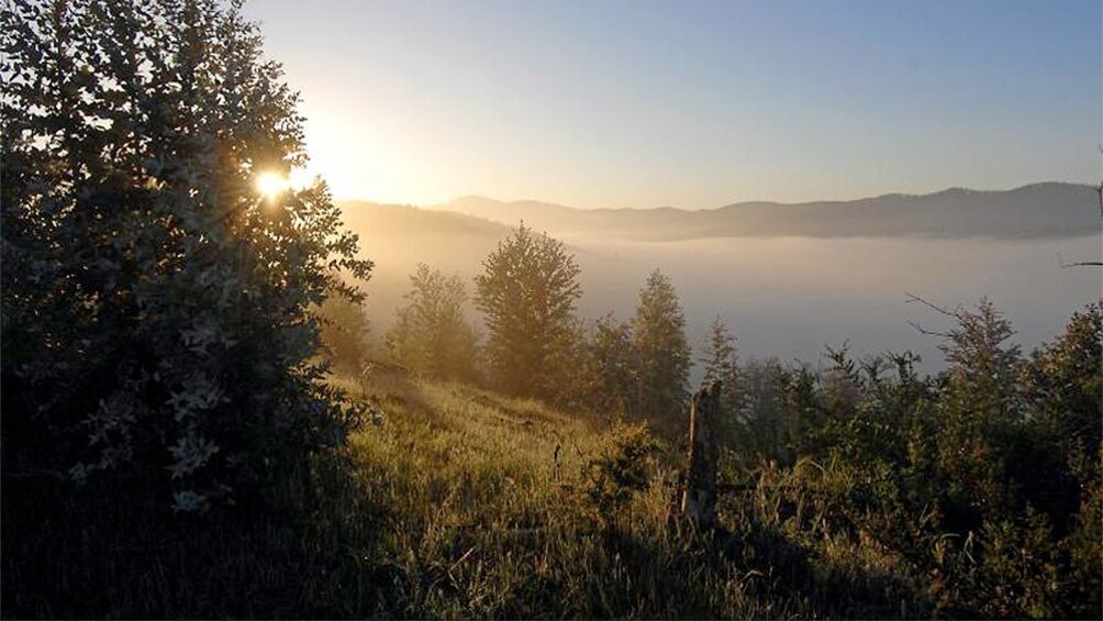 Carregar foto 3 de 6. Aerial view of beautiful forest area at sunrise.