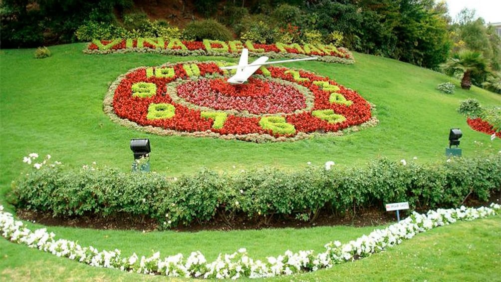 Manicured lawn with garden clock.