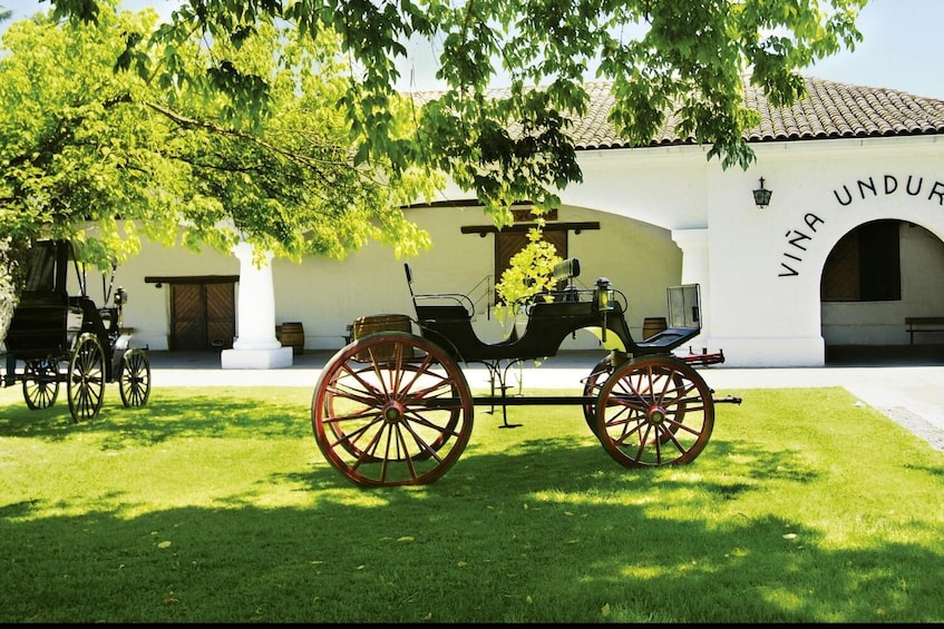 Full-Day Tour of Isla Negra, Algarrobo & Undurraga Winery