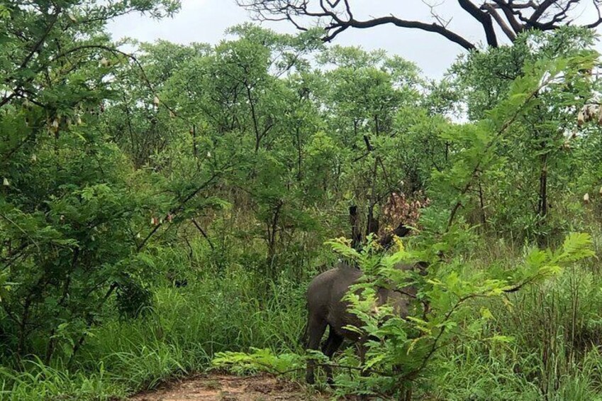 7 Days Kruger National Park Private Tour