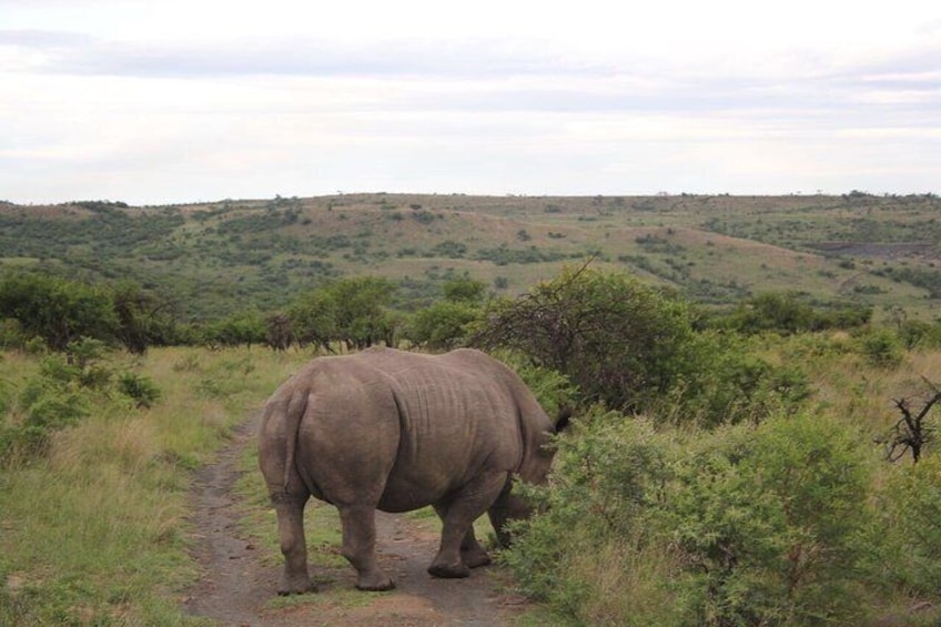 7 Days Kruger National Park Private Tour