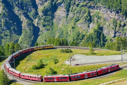 Paseo en tren por los Alpes suizos. Small-Group