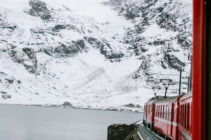 Bernina Scenic Train ride on the Swiss Alps. Small-Group